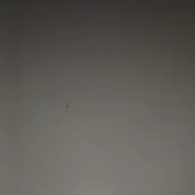 Profile image of 시푸