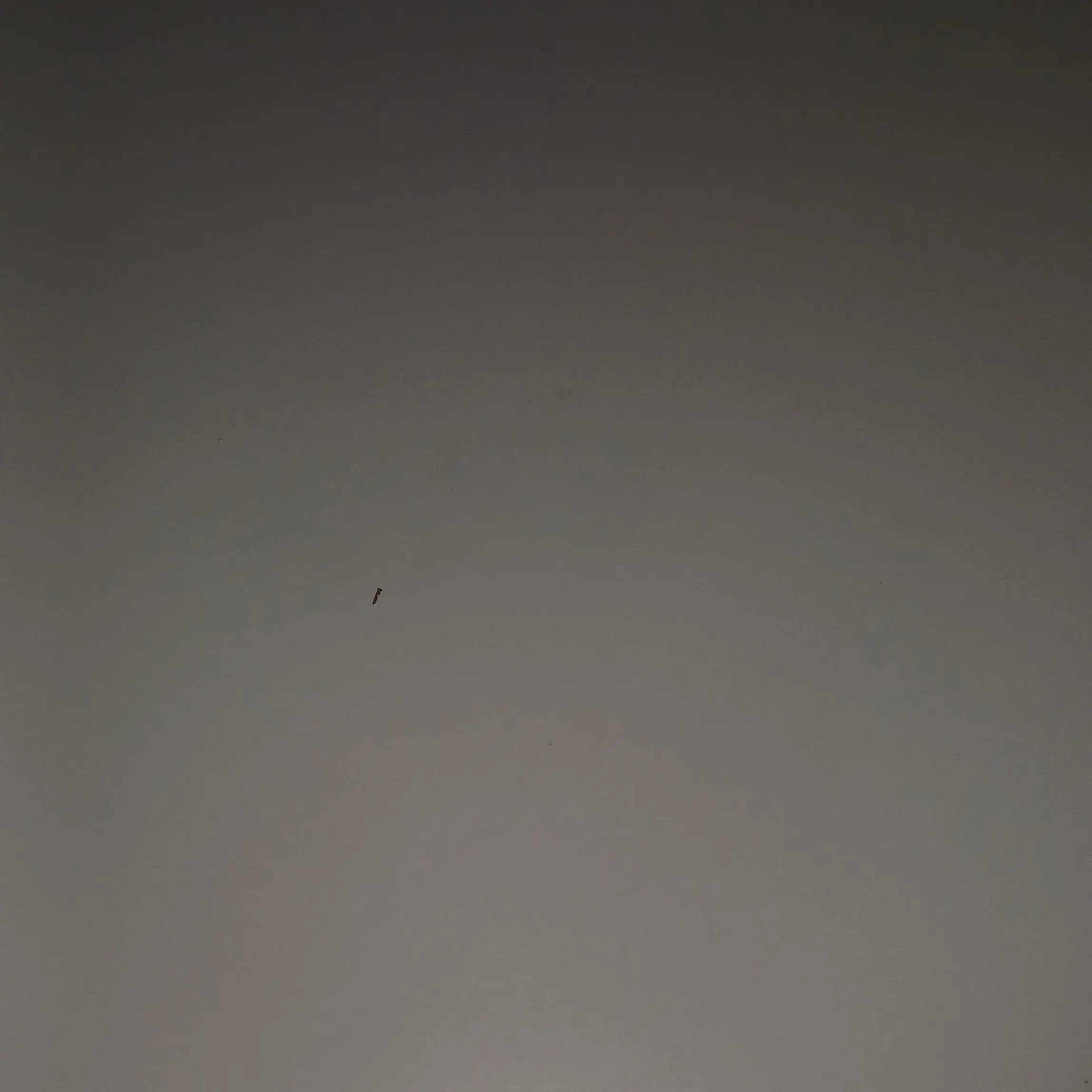 BoldStage8880의 쿵푸팬더 회사+여우 신입사원