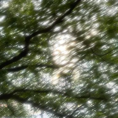 Profile image of 정재민