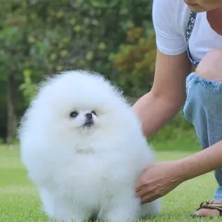Profile image of 구름이