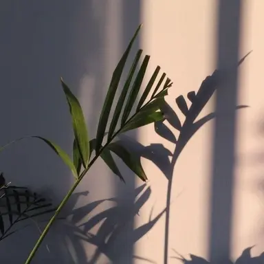 Profile image of 각별