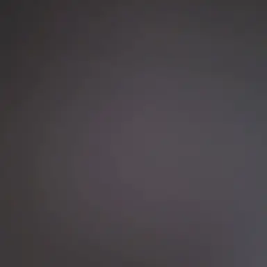 Profile image of 파이퍼 RE14