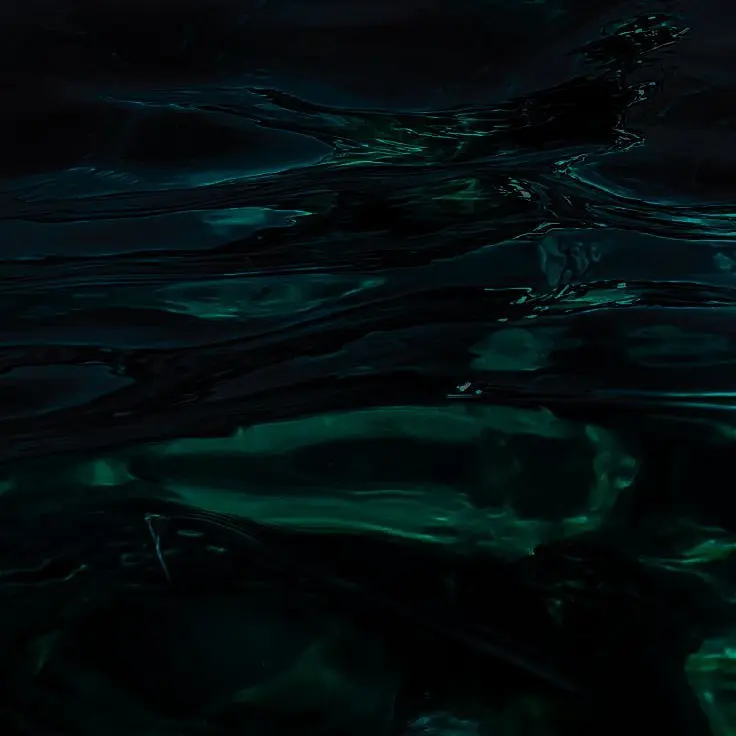 TautFort6372의 0911