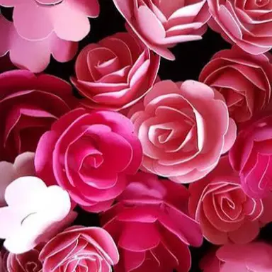 Profile image of 김수환