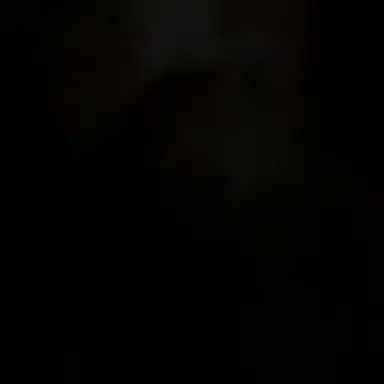 Profile image of 이재희