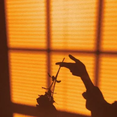 Profile image of 코마