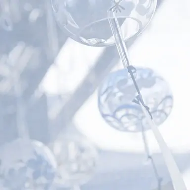 Profile image of 티푸