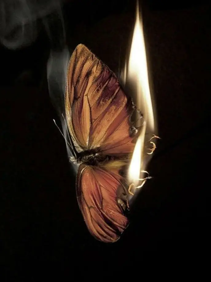 Para_dise의 낙원고 패거리