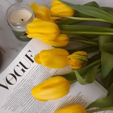 Profile image of 쪼만