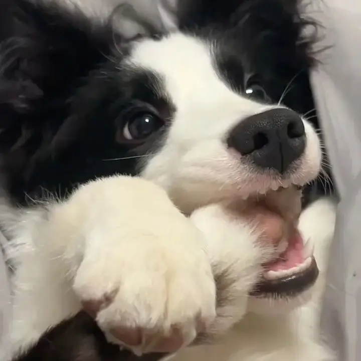 0523의 멈무