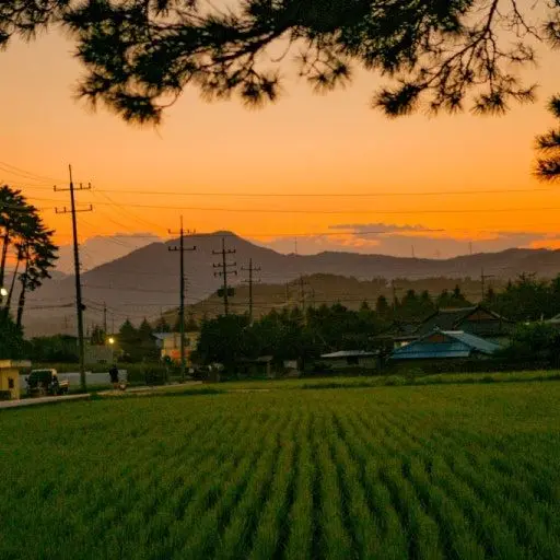 829263627의 백지헌