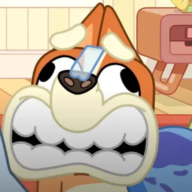 Profile image of Bingo