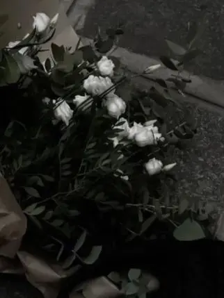 suworp1p의 Sirius Black