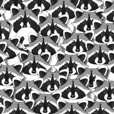 Profile image of 플레이어들