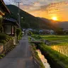 Profile image of Countryside