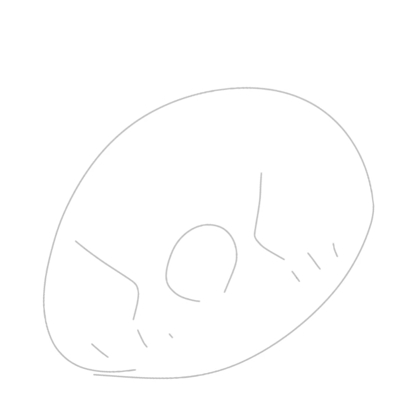 パラオ