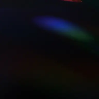 Profile image of 이반