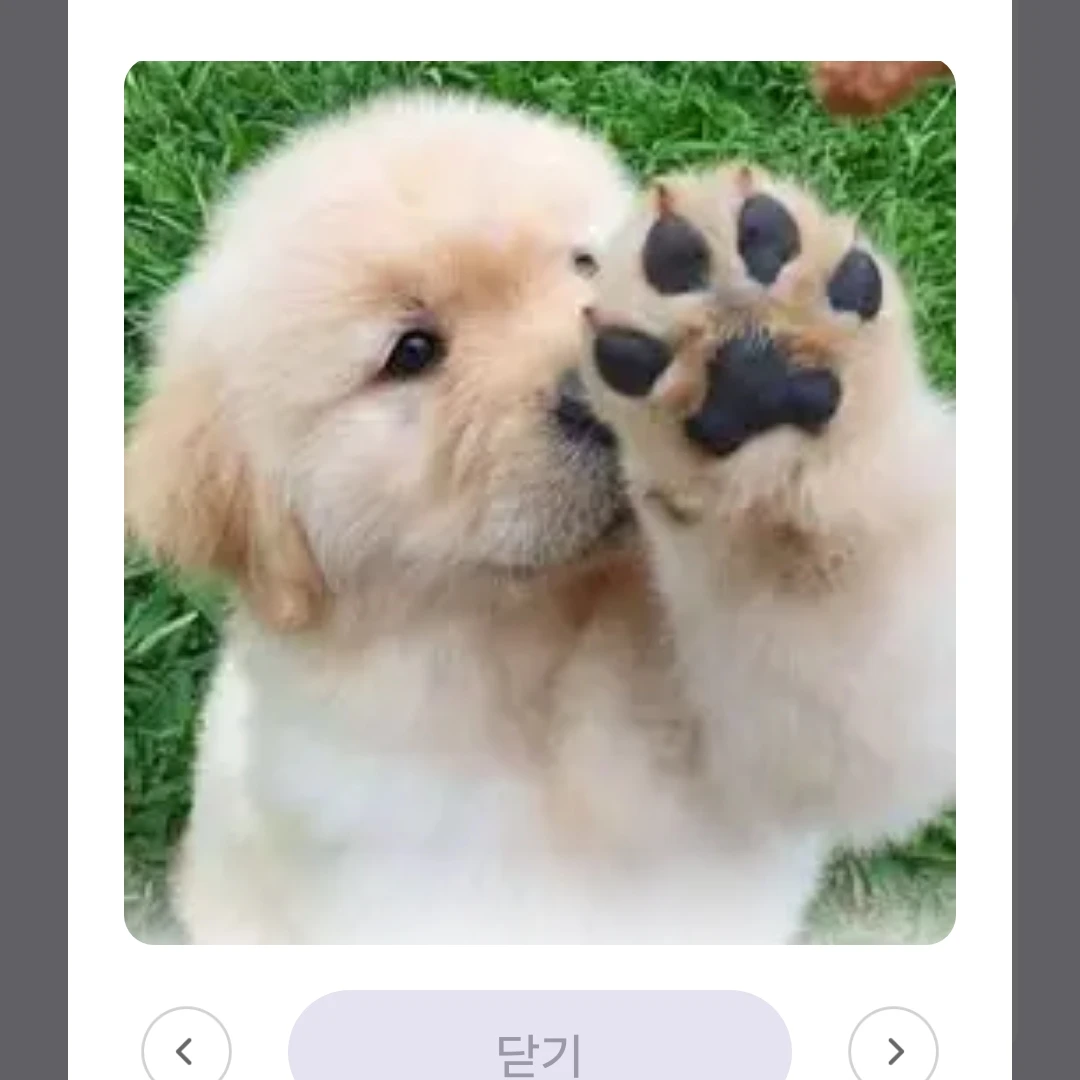 시아