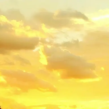 Profile image of 각별