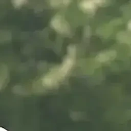 이지훈