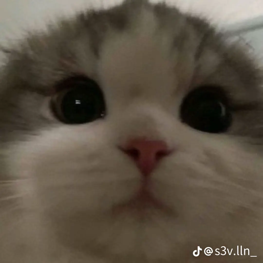 nexen3626의 김호창