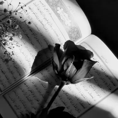 Profile image of ラウール