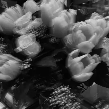 Profile image of 向井 康二