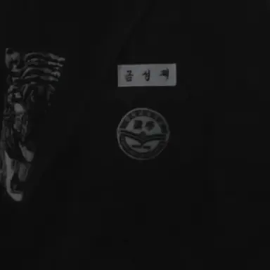 Profile image of 금성제