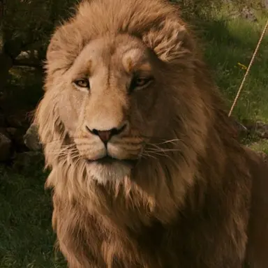 Profile image of Aslan