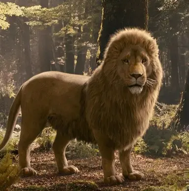 Profile image of Aslan