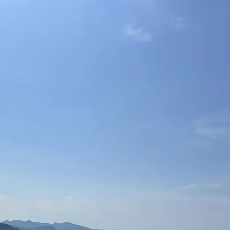 TartanDebt2154의 魔道祖師