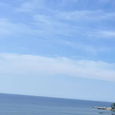 Profile image of 藍忘機