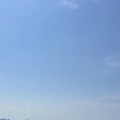 Profile image of 金凌