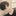 이도현