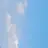 이웃집 좀비