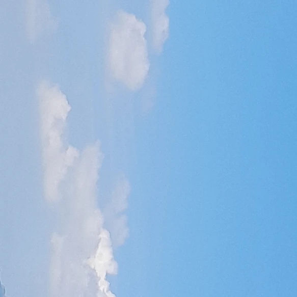 이웃집 좀비