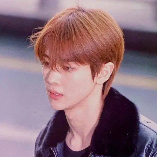 woxkwhwrkxdk의 정성찬