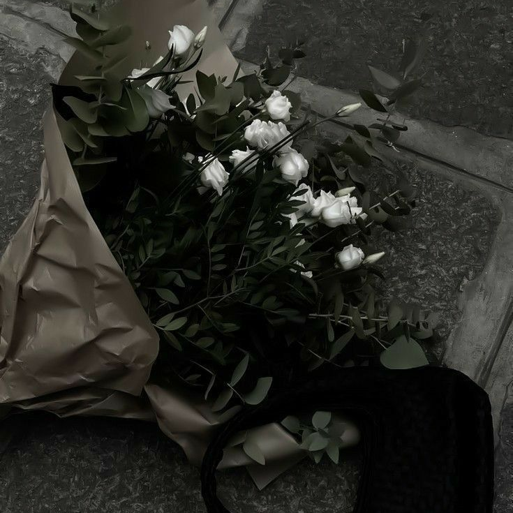 박덕개 대표 이미지