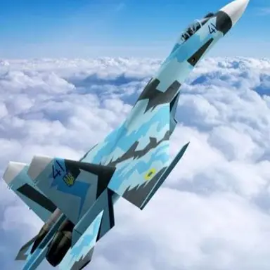 Profile image of Su 27 플랭커
