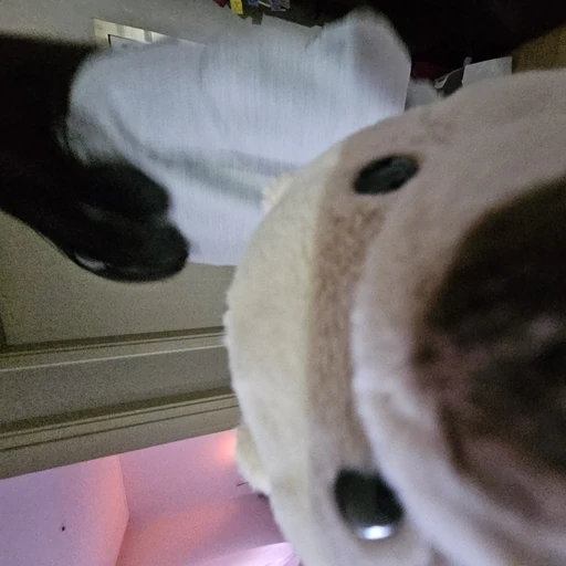 변태남사친