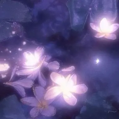 Profile image of 수현