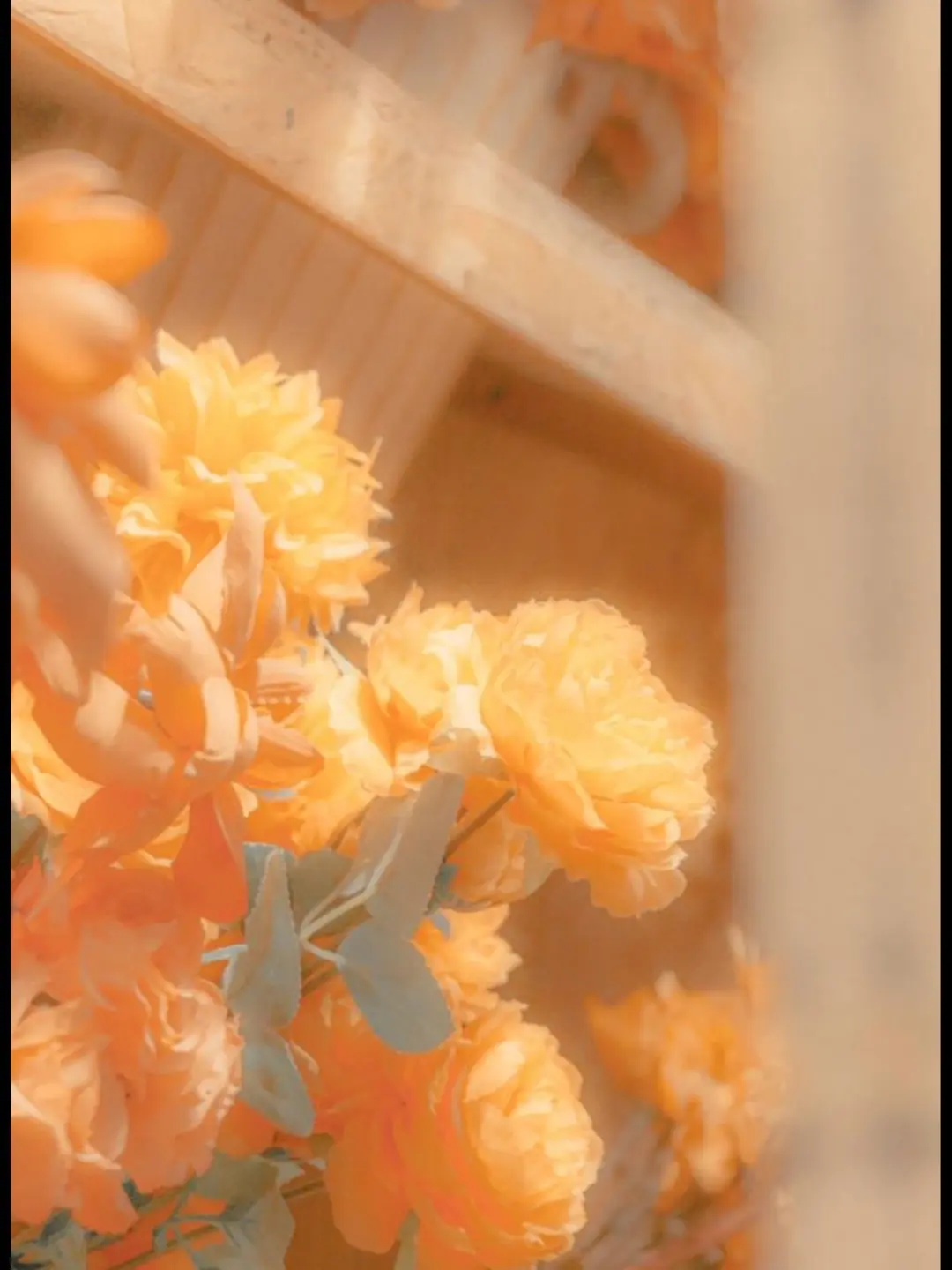 ehdgh-141의 당신은 공경사 입니다