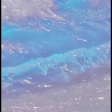 Profile image of 잠뜰