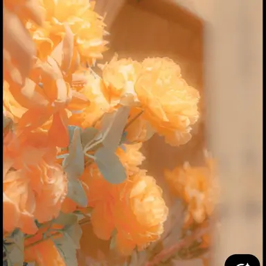 Profile image of 덕개