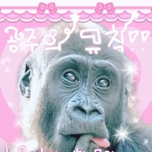 DaringBay5708의 고고프렌즈