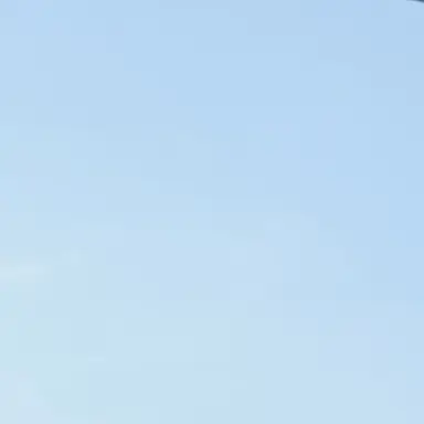 Profile image of らぴす