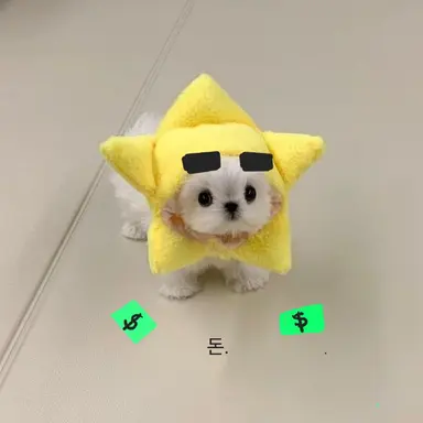 Profile image of 각별