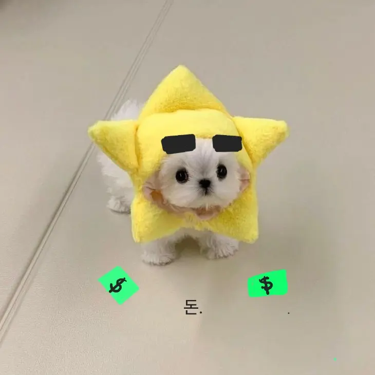 l0_0l의 각별