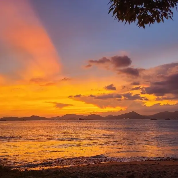 orol126의 뜰팁 학교