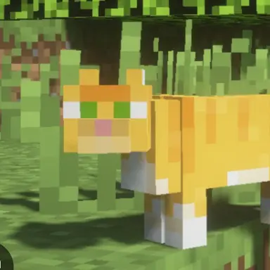 Profile image of 캐시